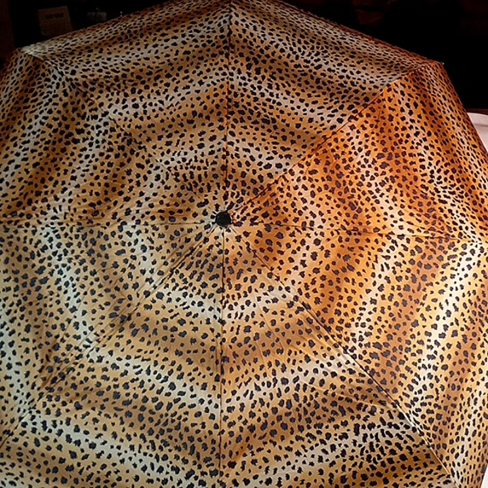 Lovely's Collection Umbrella